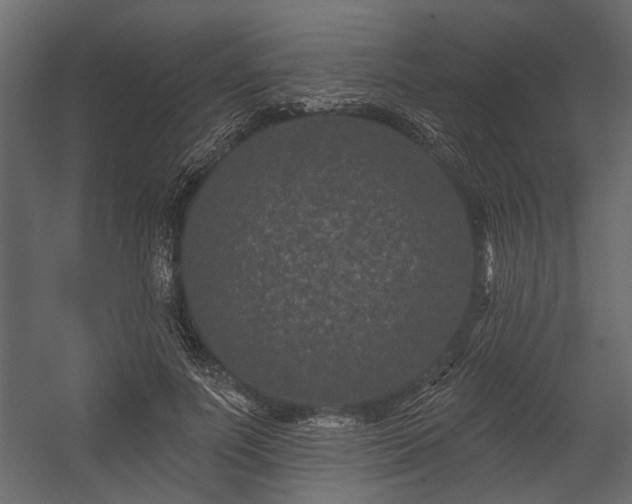 X0000054460691200508011502