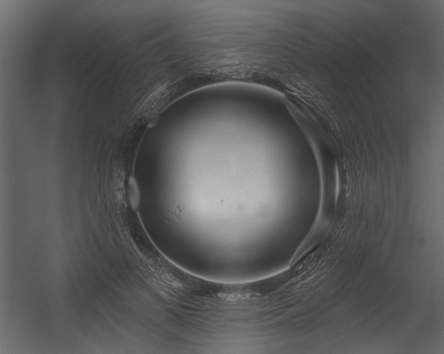 X0000054460693200508011502