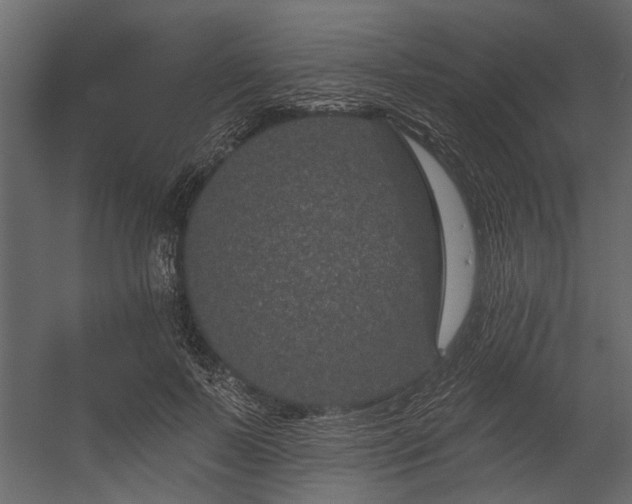 X0000054460695200508011502