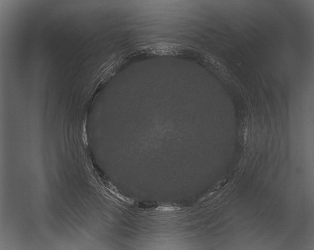 X0000054460696200508011502