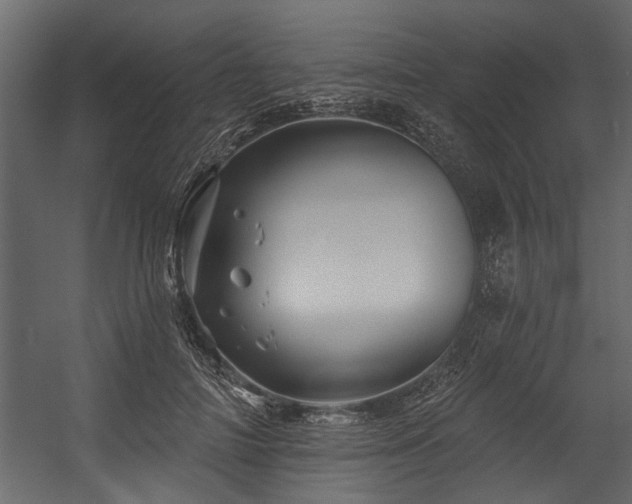 X0000054460698200508011502