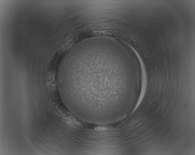 X0000054460699200508011502