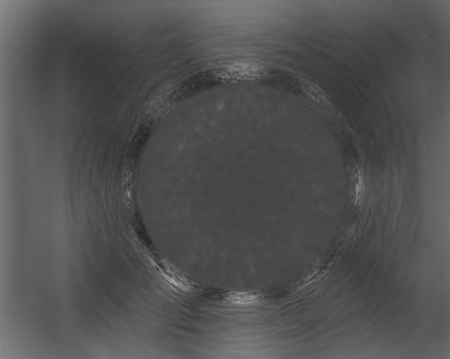 X0000054460701200508011502