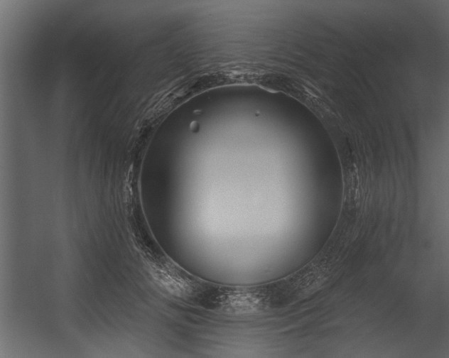 X0000054460702200508011502