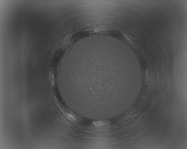 X0000054460703200508011502