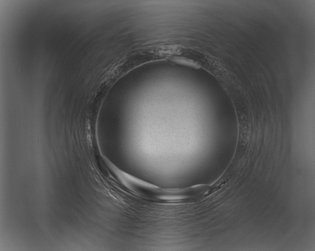 X0000054460704200508011502