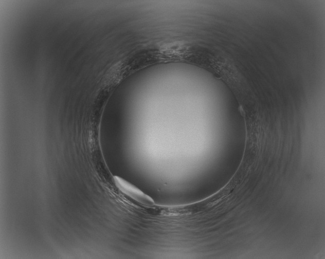 X0000054460706200508011502