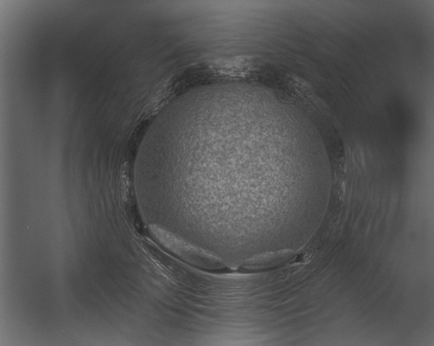 X0000054460707200508011502