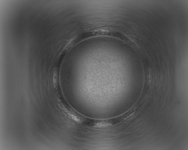 X0000054460708200508011502