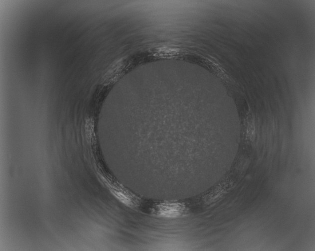 X0000054460711200508011502