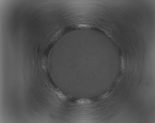 X0000054460712200508011501