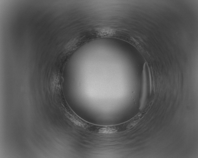 X0000054460714200508011501