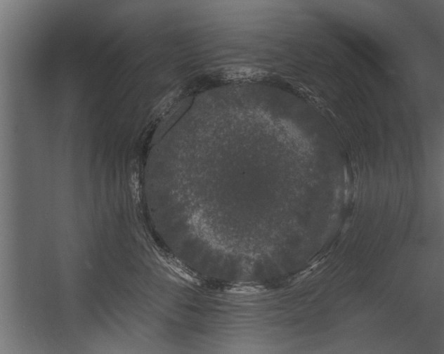 X0000054460716200508011501