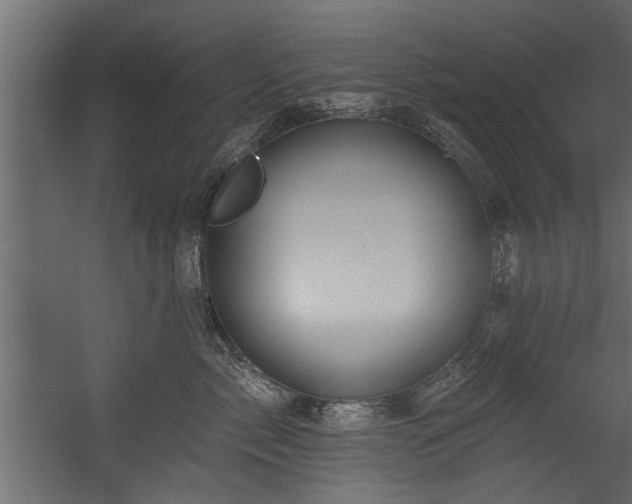 X0000054460717200508011501