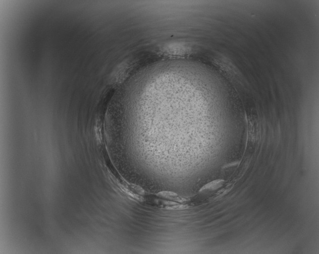 X0000054460718200508011501