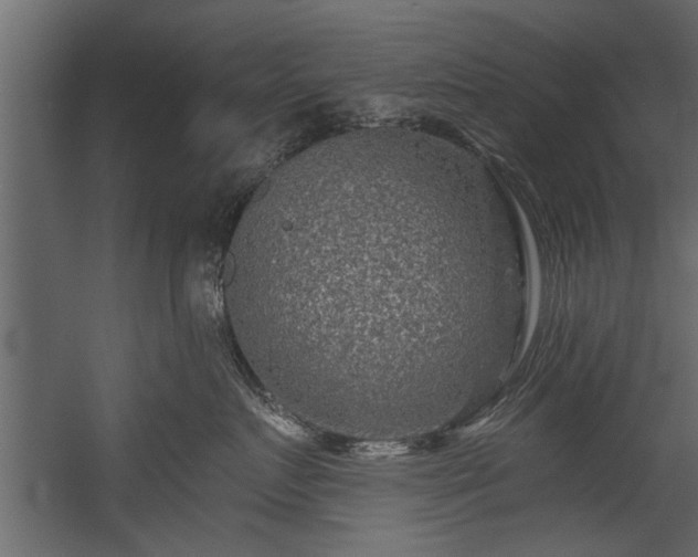 X0000054460719200508011501