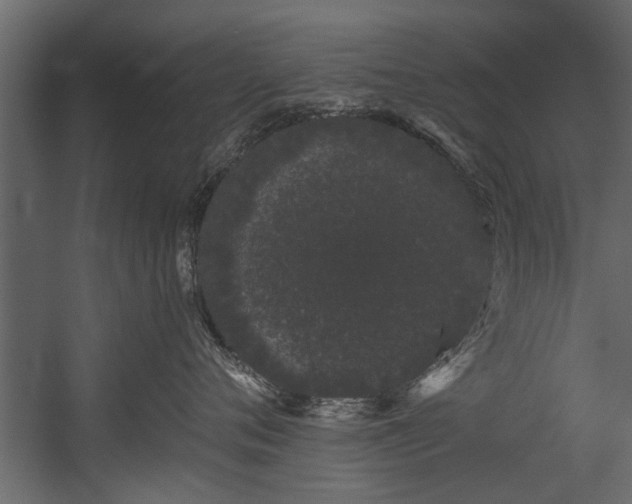 X0000054460720200508011501