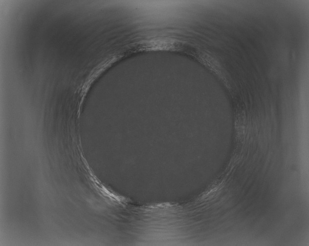 X0000054460721200508011501