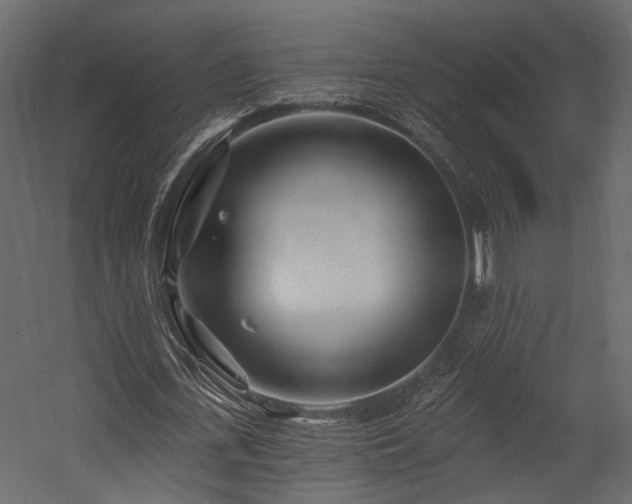 X0000054460723200508011501