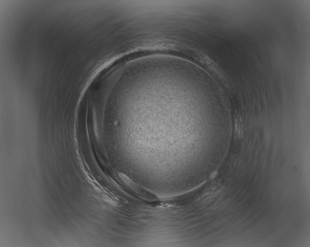 X0000054460724200508011501