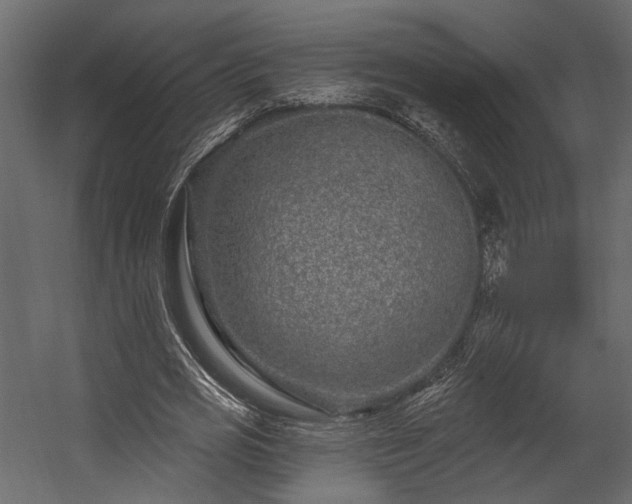 X0000054460725200508011501