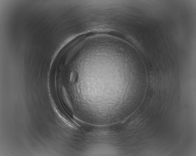 X0000054460726200508011501