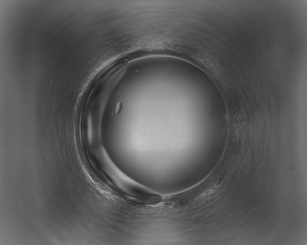 X0000054460728200508011501