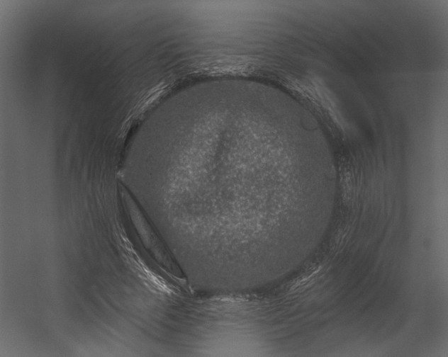 X0000054460729200508011501