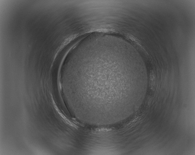 X0000054460734200508011501