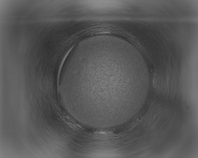 X0000054460737200508011501