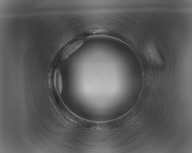 X0000054460739200508011501