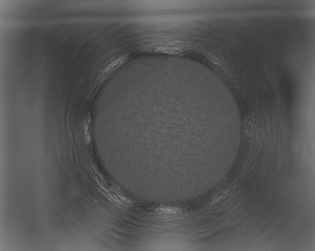 X0000054460741200508011501