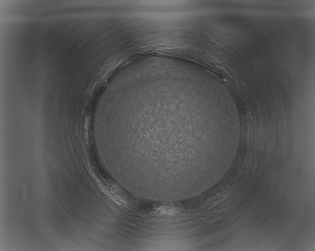 X0000054460742200508011501