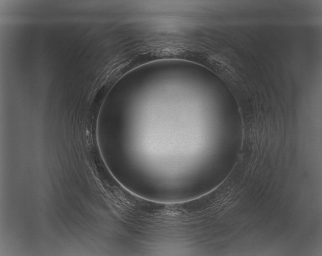 X0000054460743200508011501