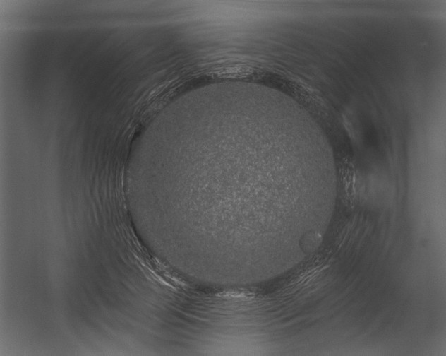 X0000054460745200508011501