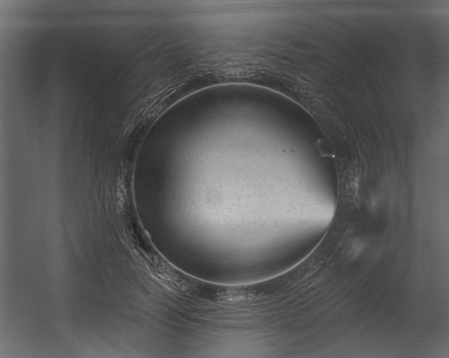 X0000054460746200508011501