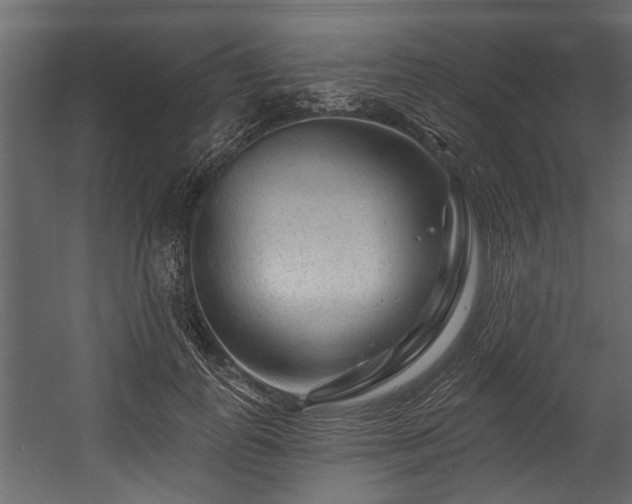 X0000054460747200508011501