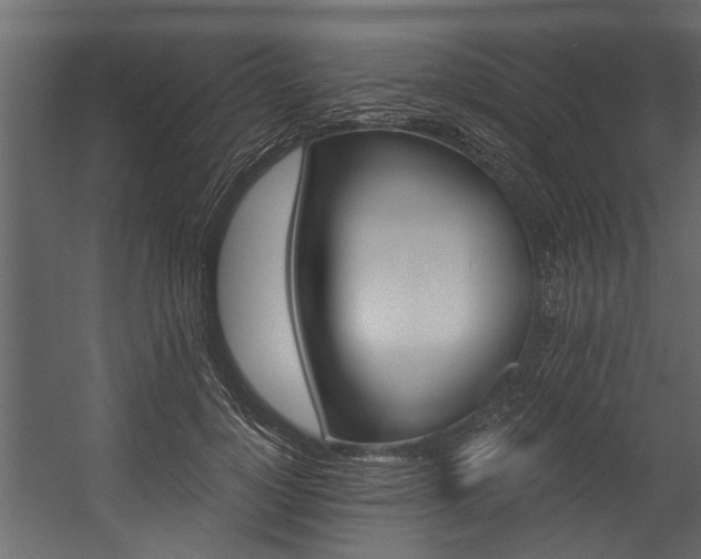 X0000054460748200508011501