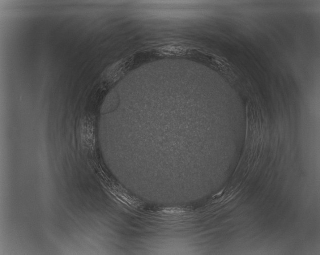 X0000054460749200508011501