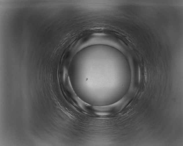 X0000054460750200508011501