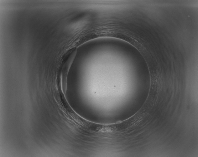 X0000054460751200508011501