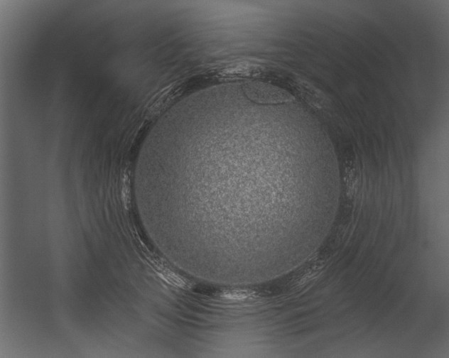 X0000054460753200508011501