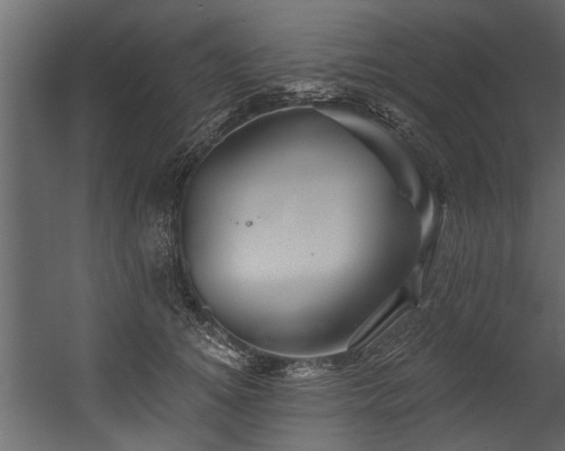 X0000054460756200508011501