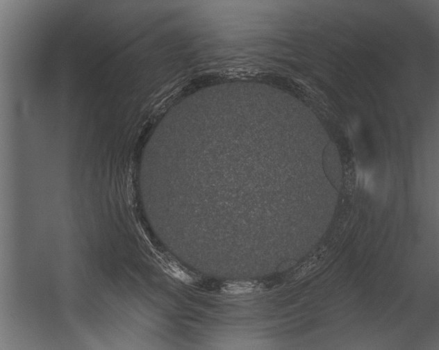 X0000054460757200508011501