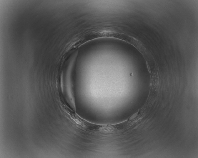 X0000054460762200508011501