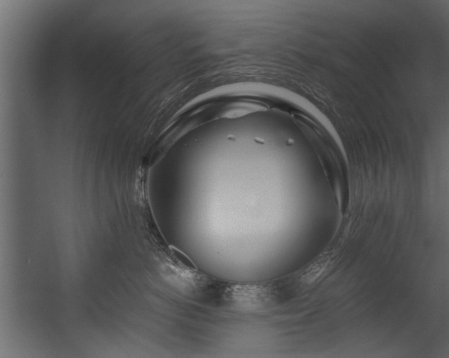 X0000054460766200508011501