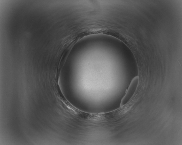 X0000054460768200508011501