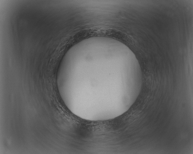 X0000054460769200508011501