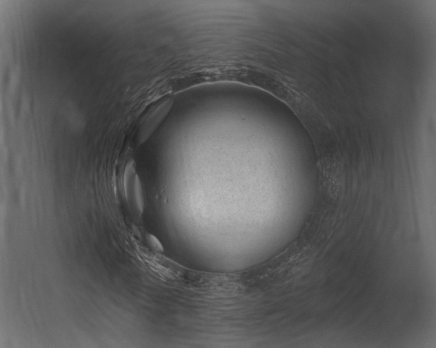 X0000054460770200508011500