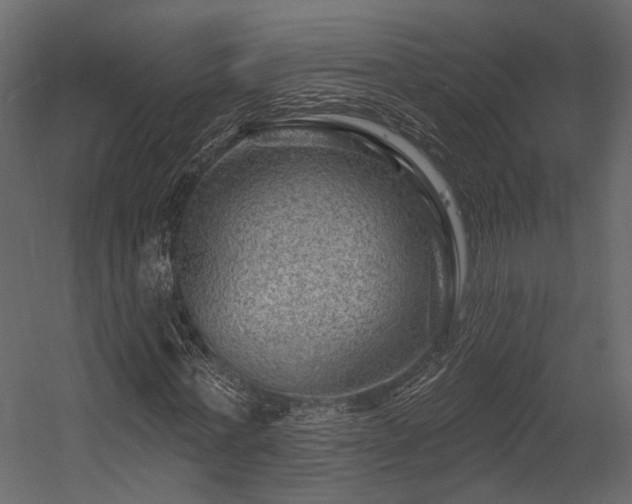 X0000054460771200508011500